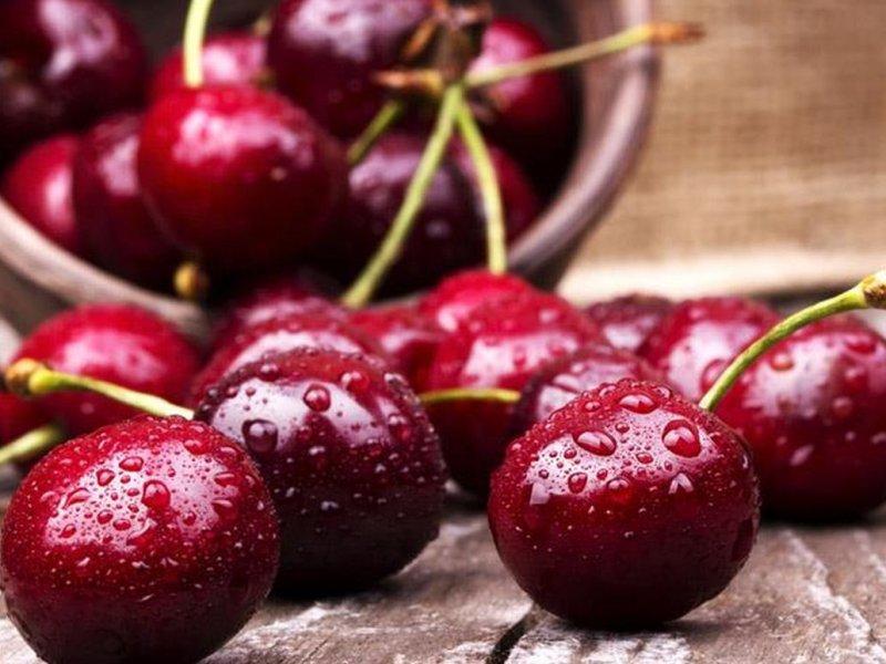 Вишня купить саженцы из питомника в Сарапуле